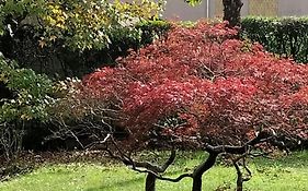 Casa Azalea